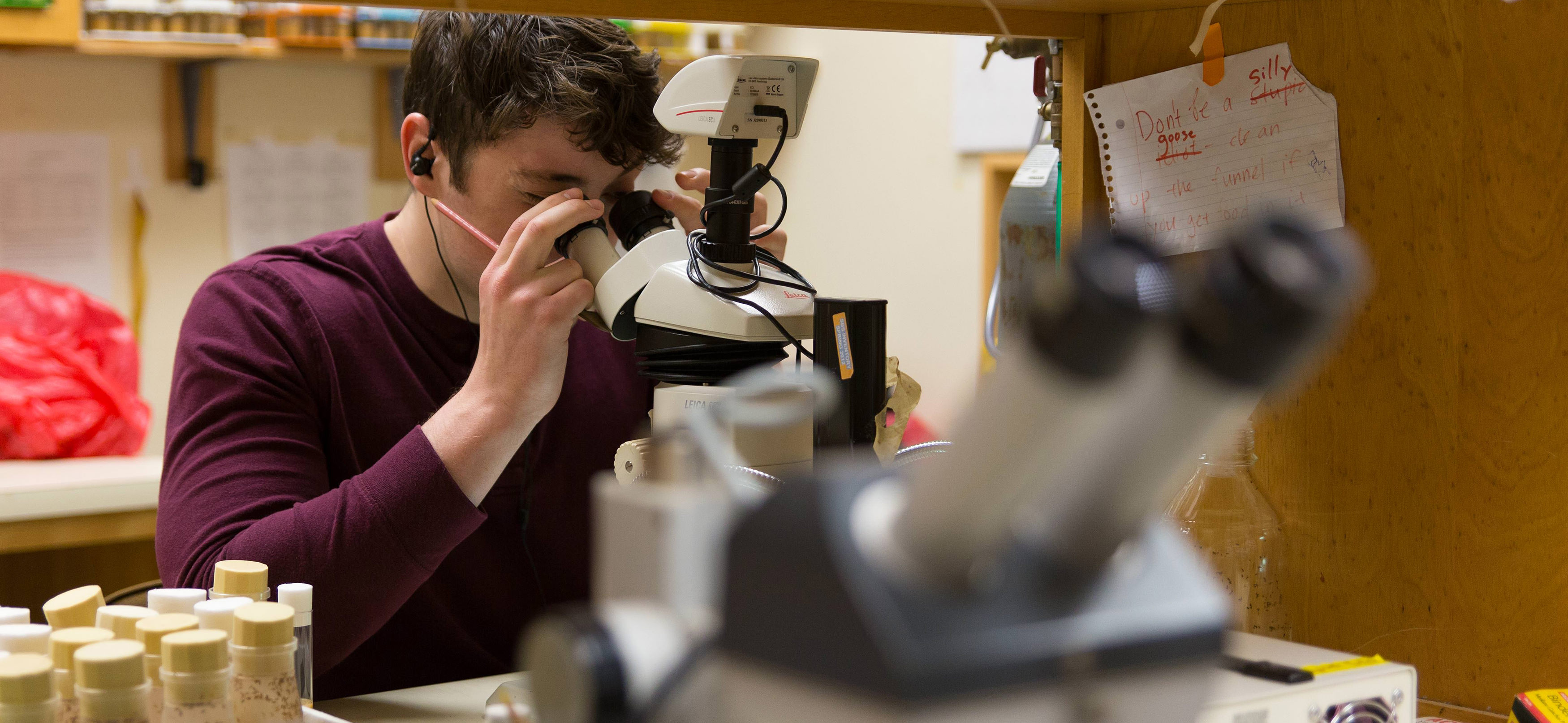 an undergraduate student conducts research in a lab
